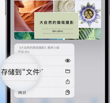 龙海apple维修中心分享iPhone文件应用中存储和找到下载文件