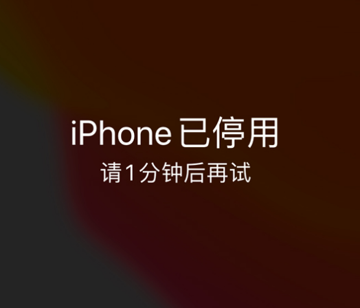 龙海苹果手机维修分享:iPhone 显示“不可用”或“已停用”怎么办？还能保留数据吗？ 