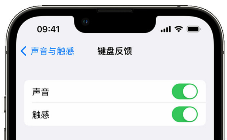 龙海苹果手机维修分享iPhone 14触感键盘使用方法 