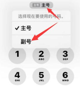 龙海苹果14维修店分享iPhone 14 Pro Max使用副卡打电话的方法 