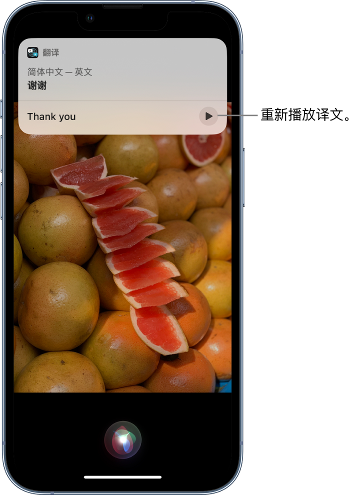 龙海苹果14维修分享 iPhone 14 机型中使用 Siri：了解 Siri 能帮你做什么 