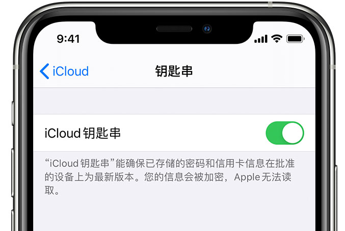 龙海苹果手机维修分享在 iPhone 上开启 iCloud 钥匙串之后会储存哪些信息 