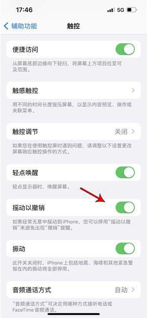 龙海苹果手机维修分享iPhone手机如何设置摇一摇删除文字 