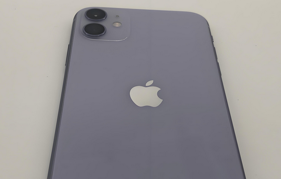 龙海苹果11系统维修分享iPhone11手机系统崩溃无法开机如何解决